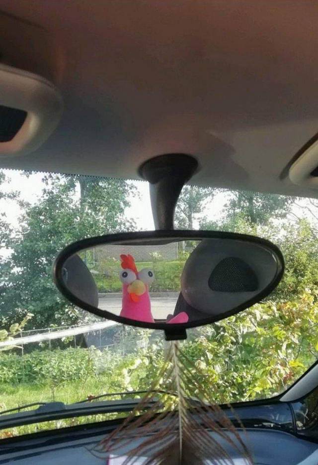 Content Image