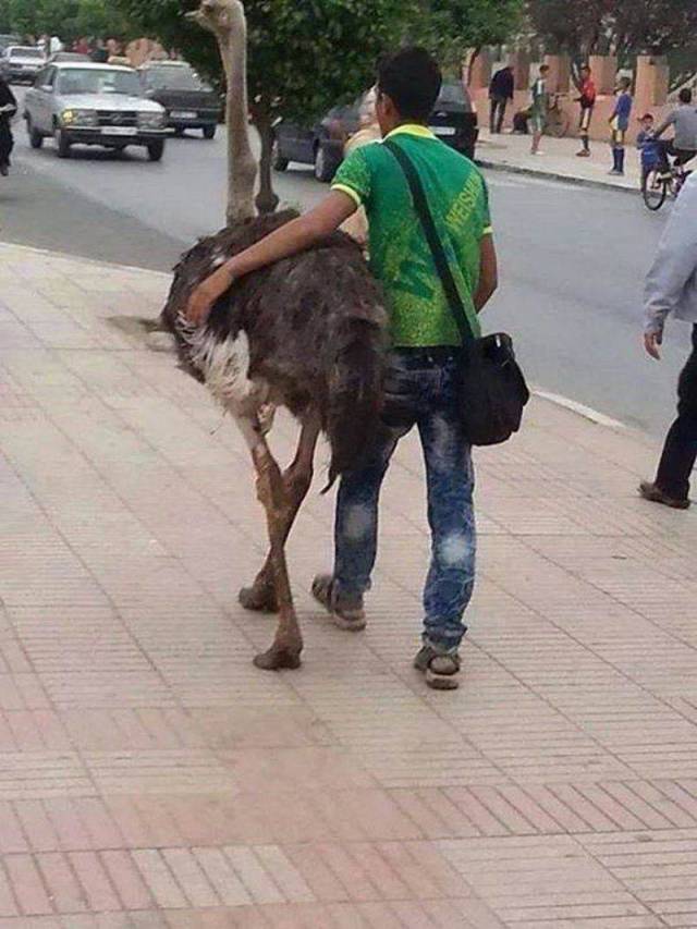 Content Image