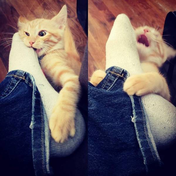 Daily Picdump [WEEKEND EDITION]