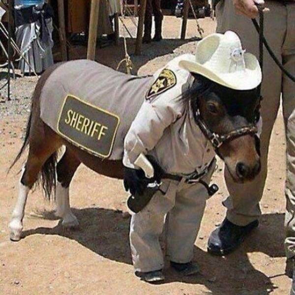 Daily Picdump [WEEKEND EDITION]