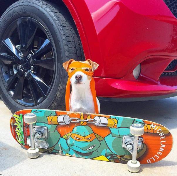 Daily Picdump [WEEKEND EDITION]
