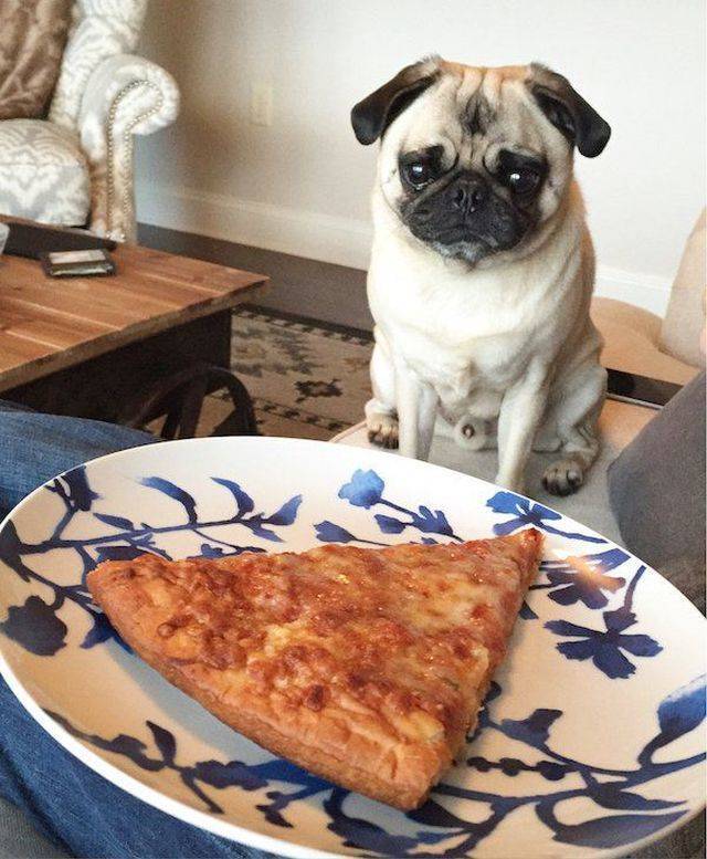 Daily Picdump [WEEKEND EDITION]