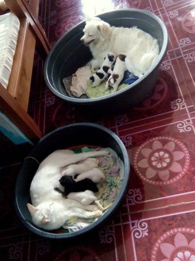Daily Picdump [WEEKEND EDITION]