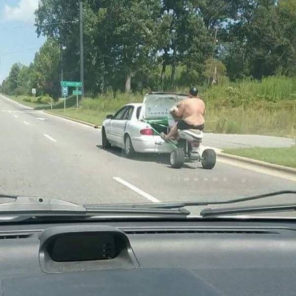 Daily Picdump