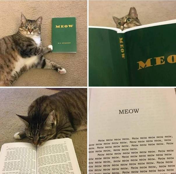 Content Image