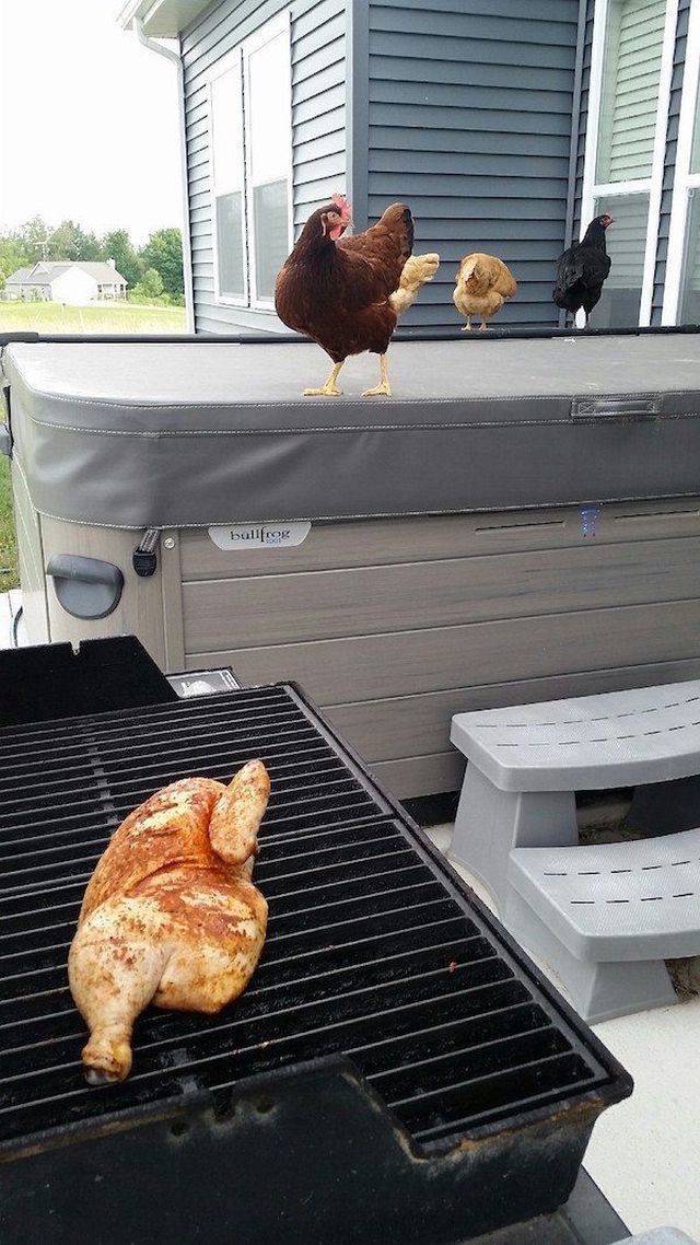 Content Image