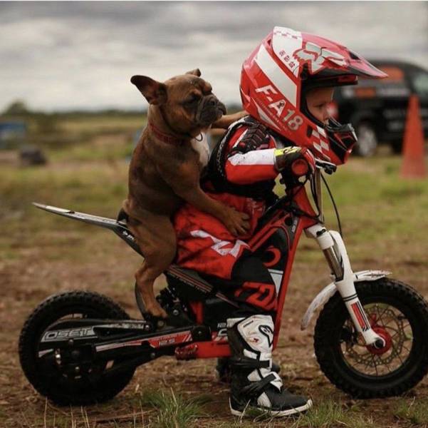 Daily Picdump