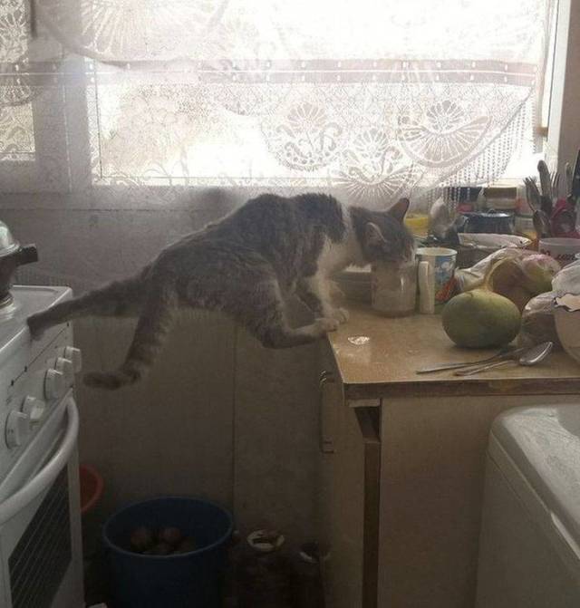 Daily Picdump