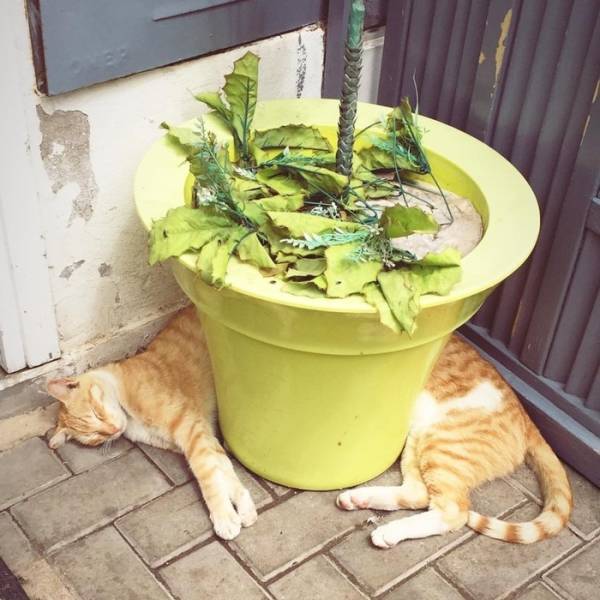 Morning Picdump
