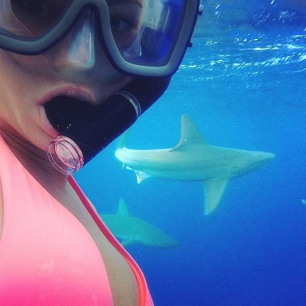Daily Picdump