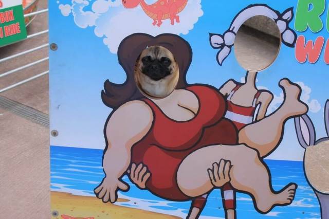 Daily Picdump