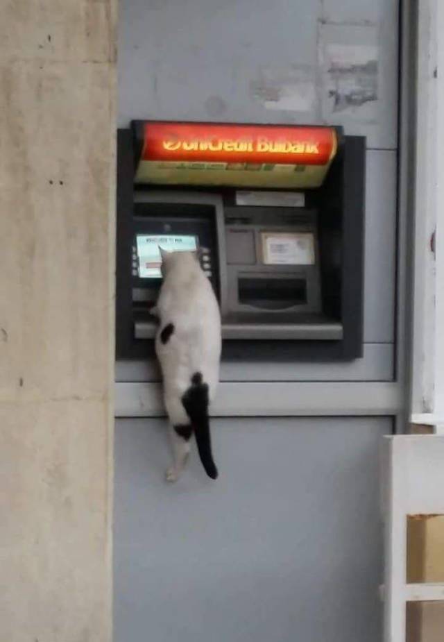 Daily Picdump