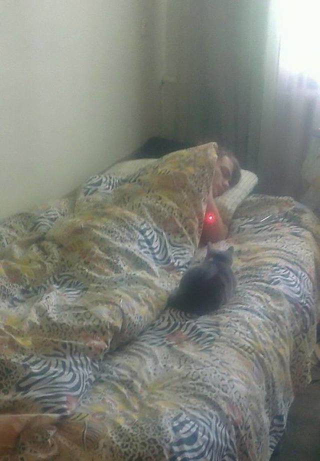 Daily Picdump