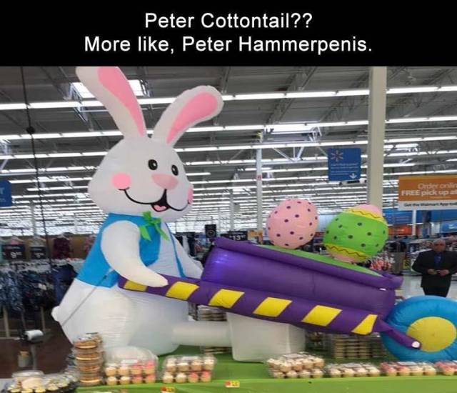 Content Image
