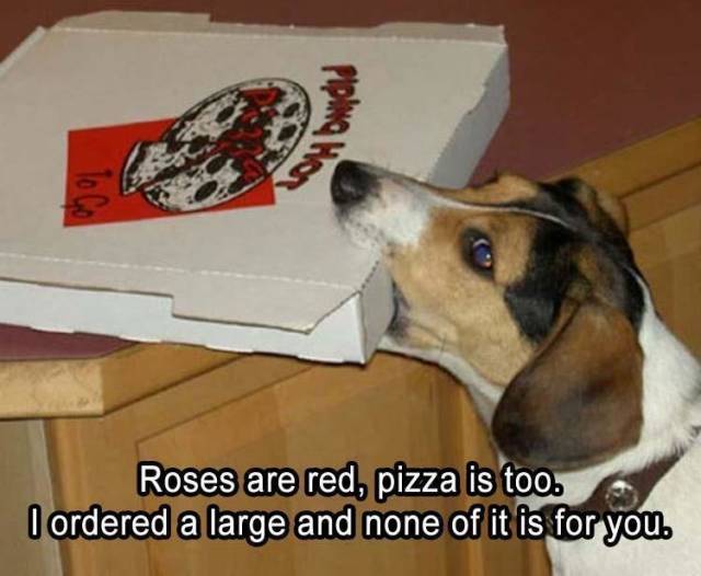Content Image