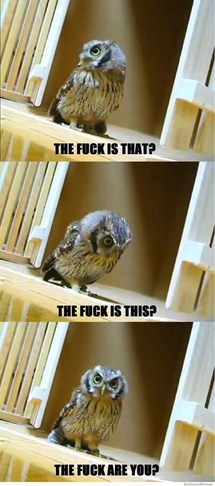 Funny Picdump