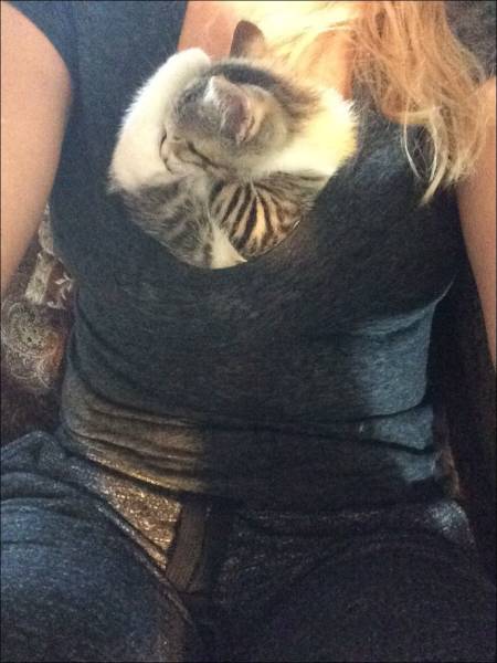 Daily Picdump