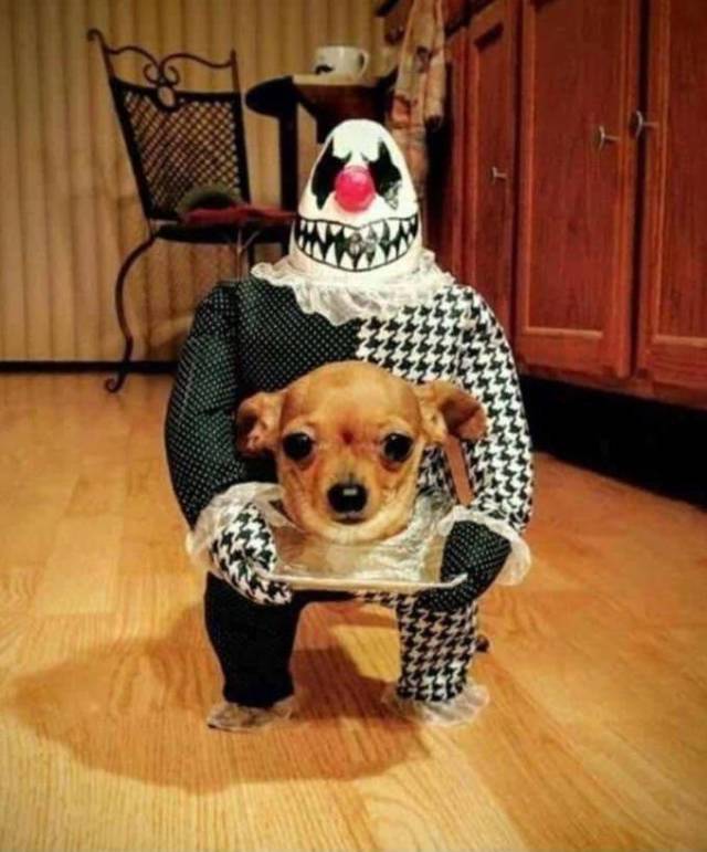 Content Image