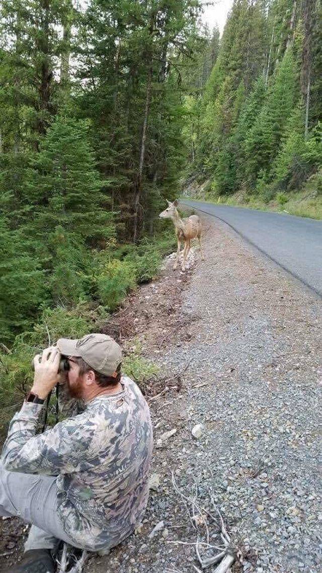 Daily Picdump