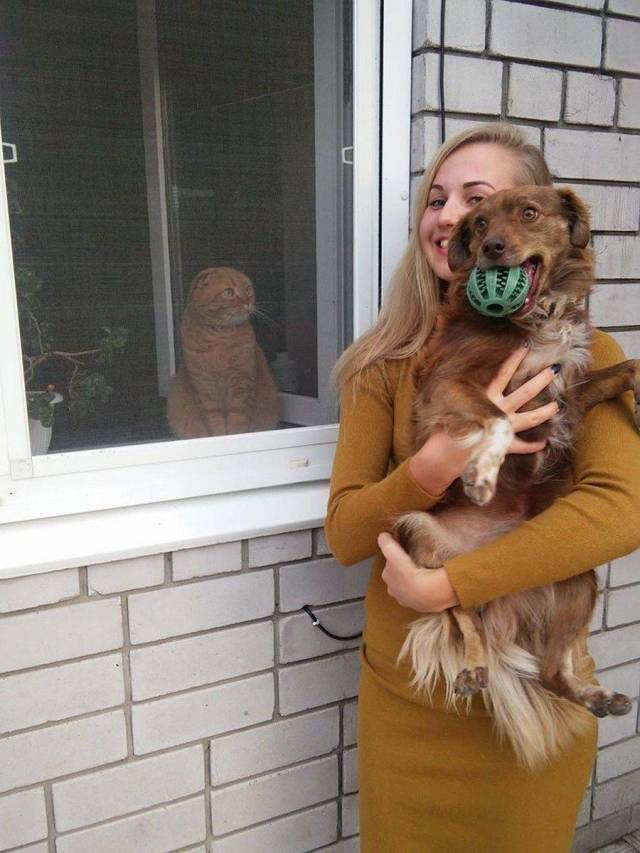 Daily Picdump