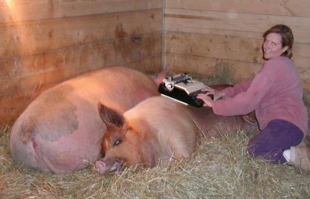 Hard-to-explain WTF Photos