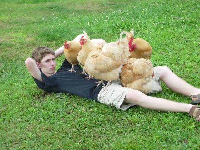 Hard-to-explain WTF Photos