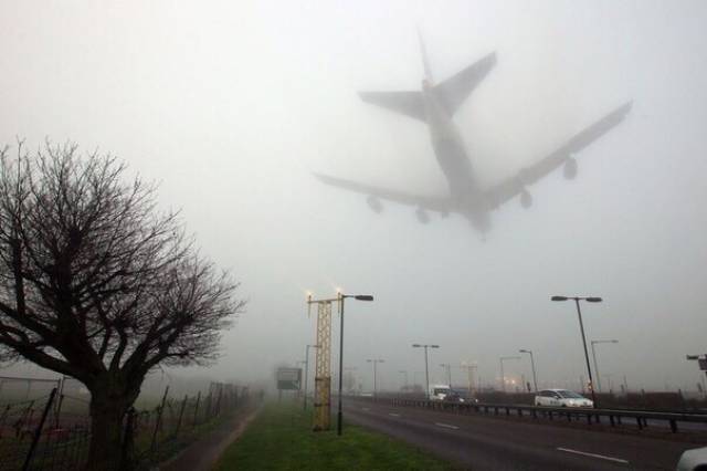 Morning Picdump