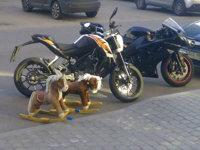 Morning Picdump