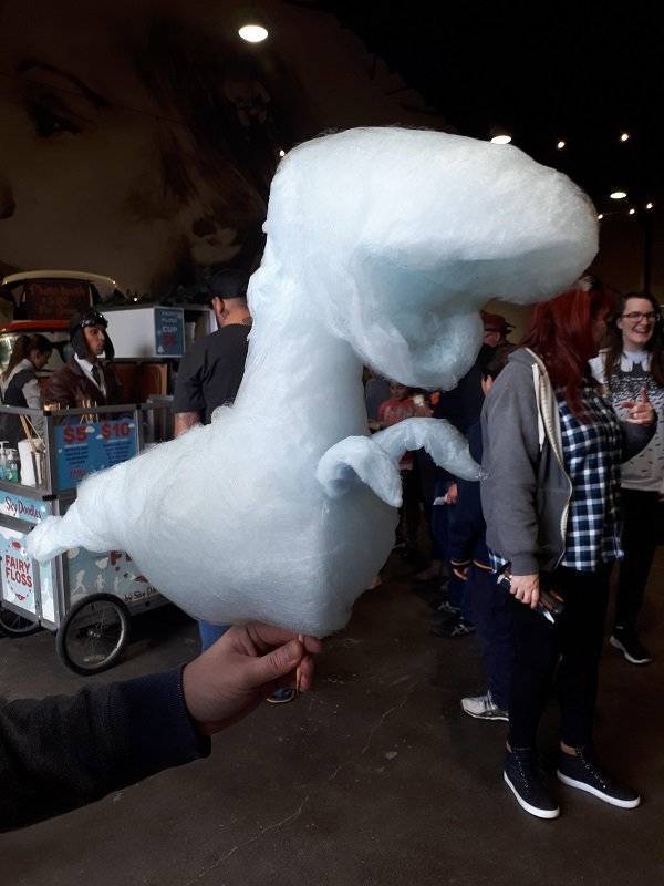 Morning Picdump