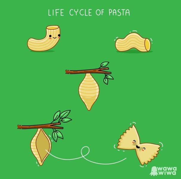 Funny Picdump