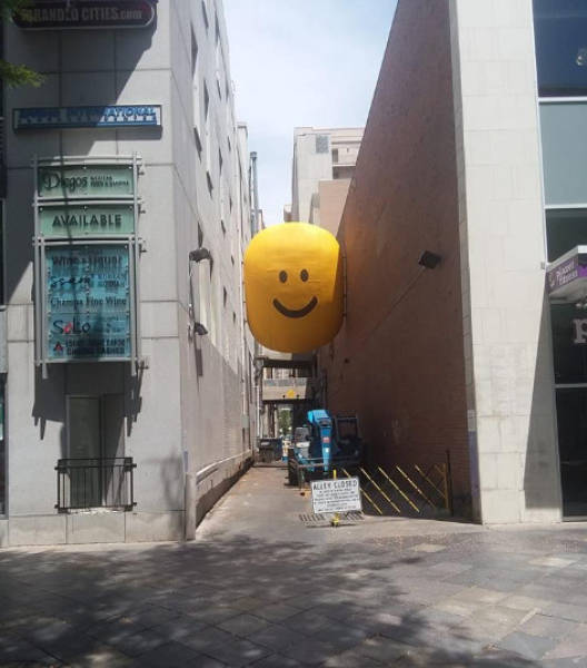 Morning Picdump