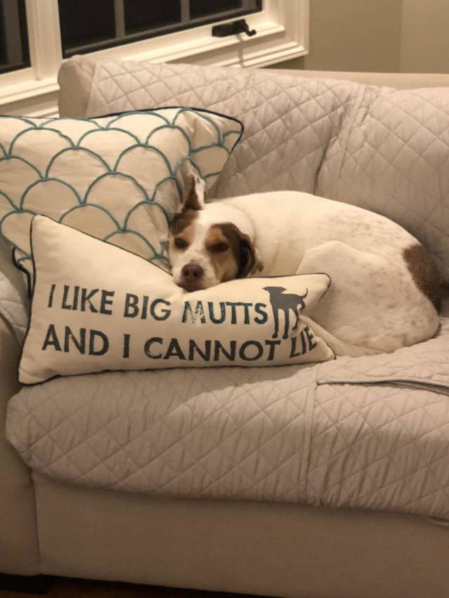 Content Image