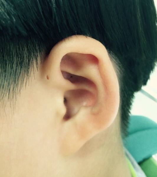 Their Bodies Are Too Weird To Be Real