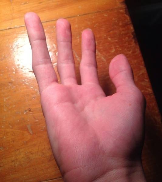 Their Bodies Are Too Weird To Be Real