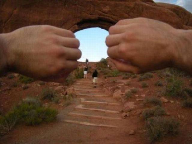 Morning Picdump