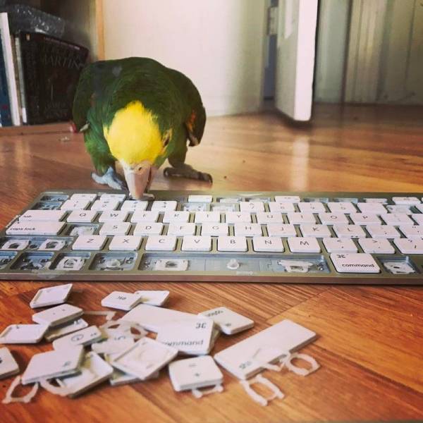 Daily Picdump