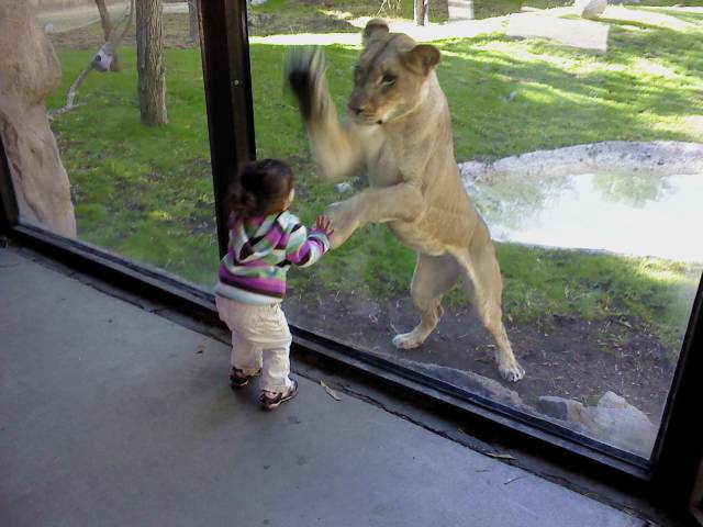 Daily Picdump