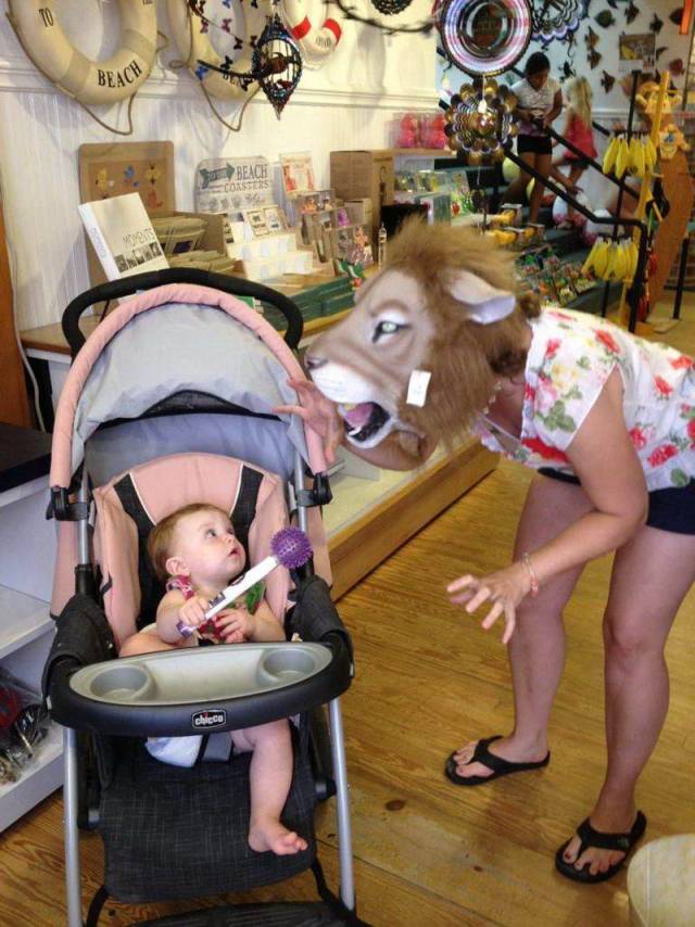 Daily Picdump