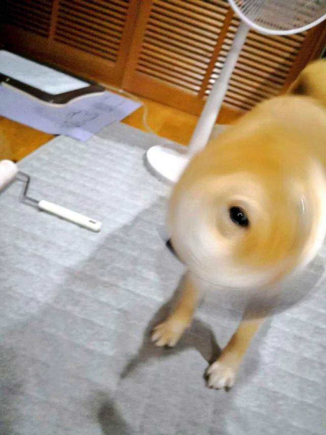 Content Image