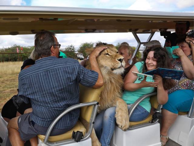 Daily Picdump