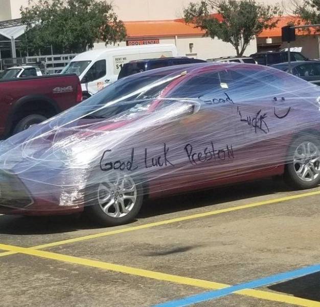 Daily Picdump