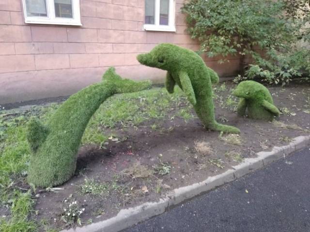 Daily Picdump