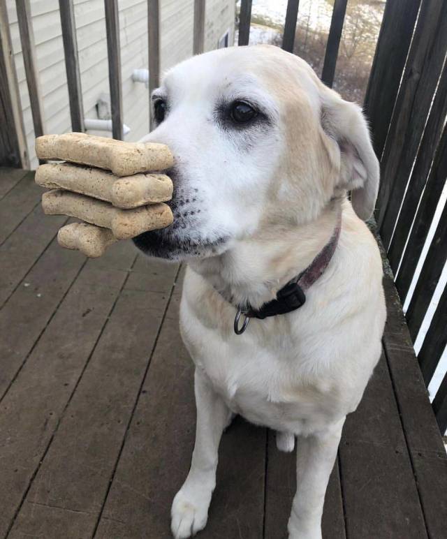 Content Image