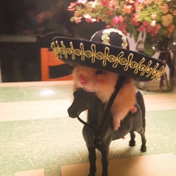 Daily Picdump