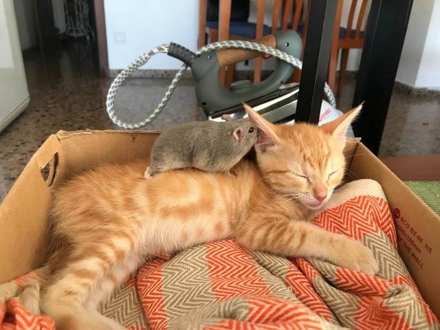 Daily Picdump