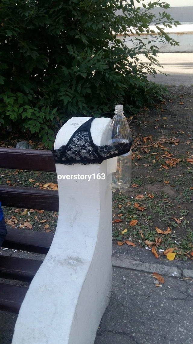 Daily Picdump