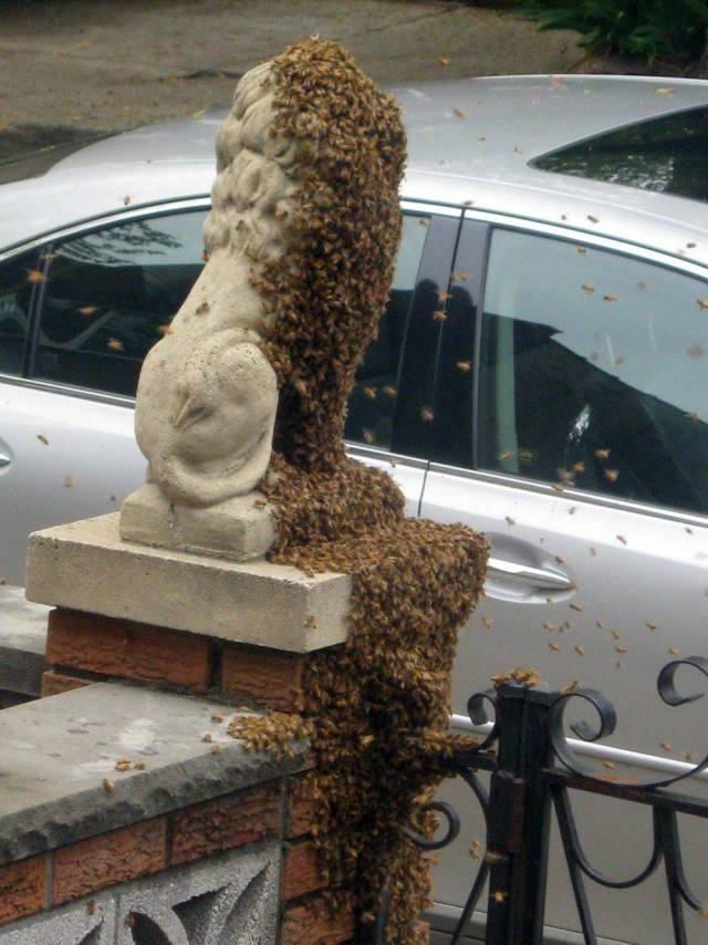 Daily Picdump