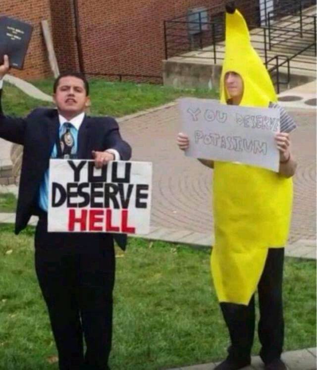 Daily Picdump