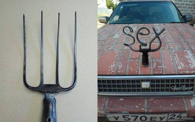 Daily Picdump