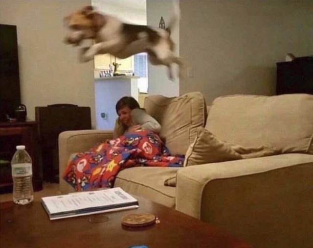 Daily Picdump